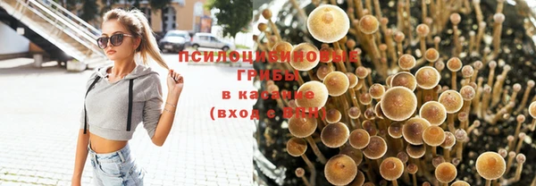 МДПВ Белоозёрский
